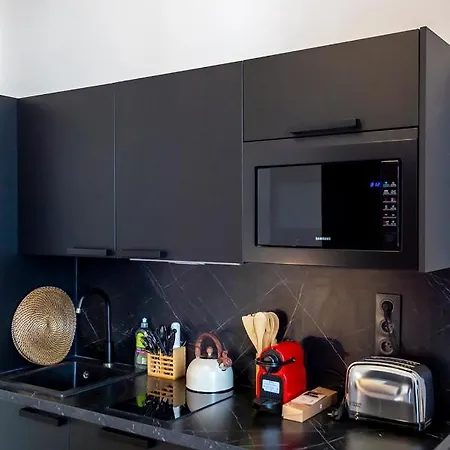 101b - Tres Beau Studio Avec Mezzanine - Hyper Centreac Διαμέρισμα Νίκαια